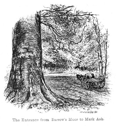 The Entrance from Barrows Moor to Mark Ash by Walter Crane